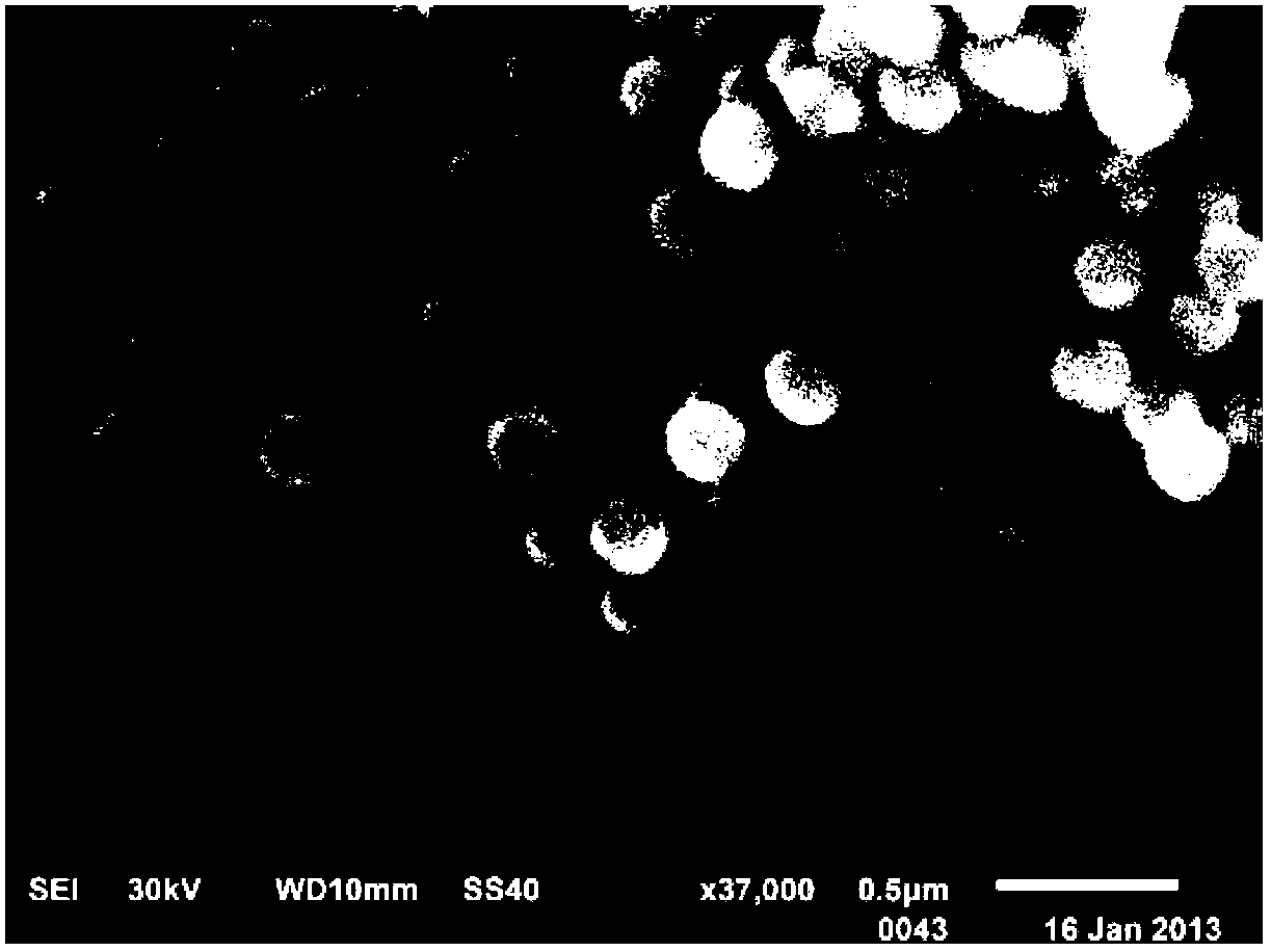 Method for preparing super-hydrophobic membrane for removing dissolved gas in water