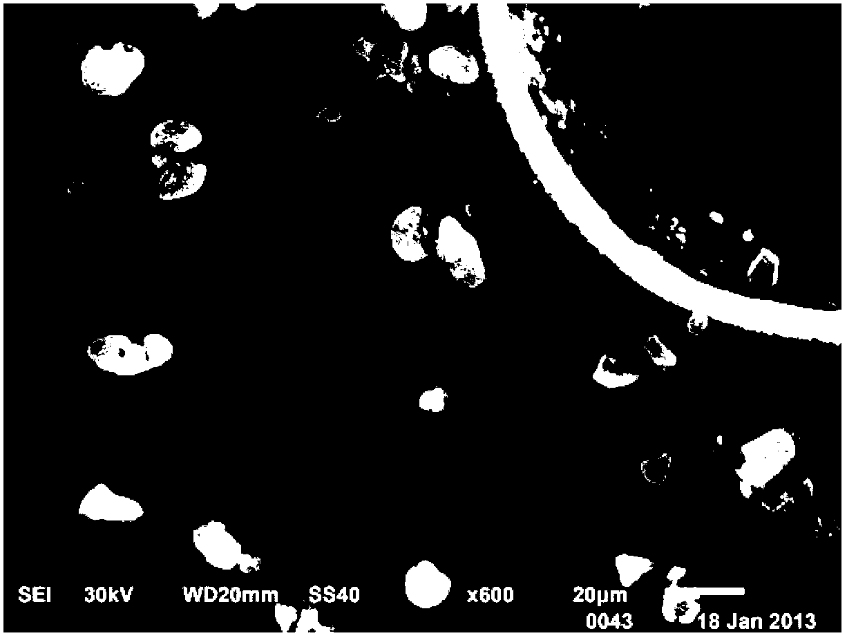 Method for preparing super-hydrophobic membrane for removing dissolved gas in water