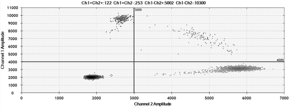 EGFR gene 20 exon T790M and C797S mutation detection primers, probes and method