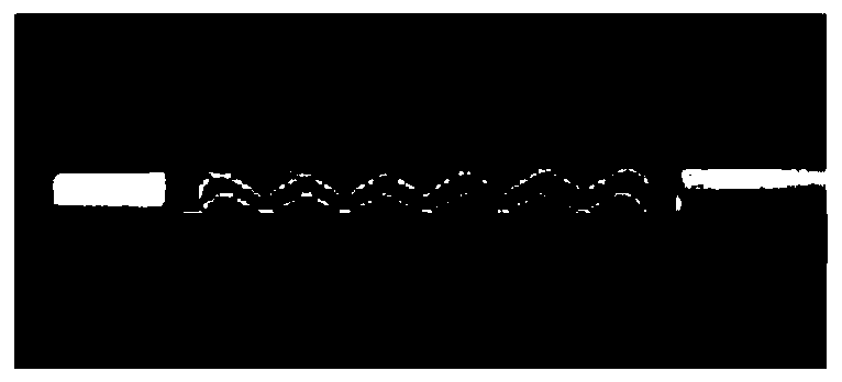 A kind of preparation method of magnesium alloy vascular stent