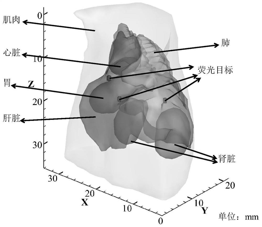 A Method for Selecting Feasible Regions of Targets in Fluorescence Molecular Tomography