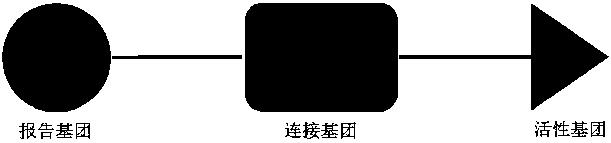 Analytical method for related enzymes in biosynthesis pathway of plant secondary metabolites