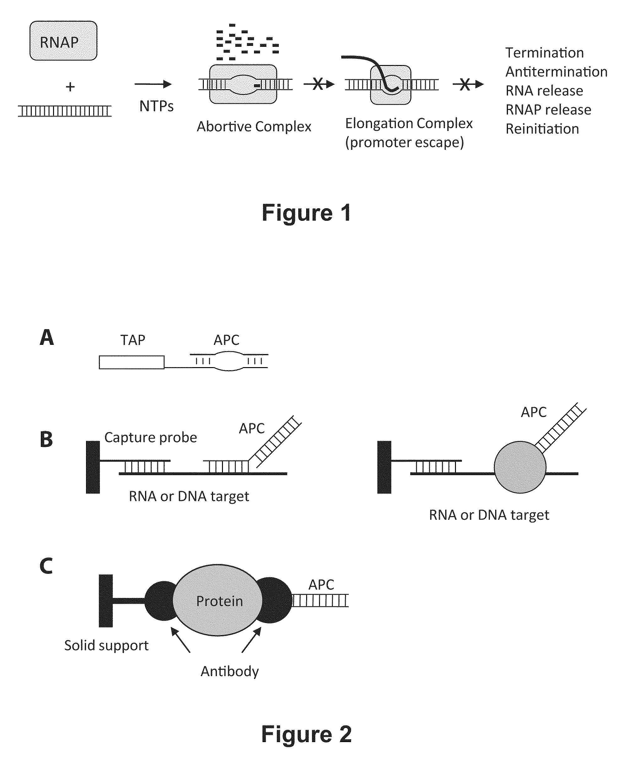 Abscription based molecular detection