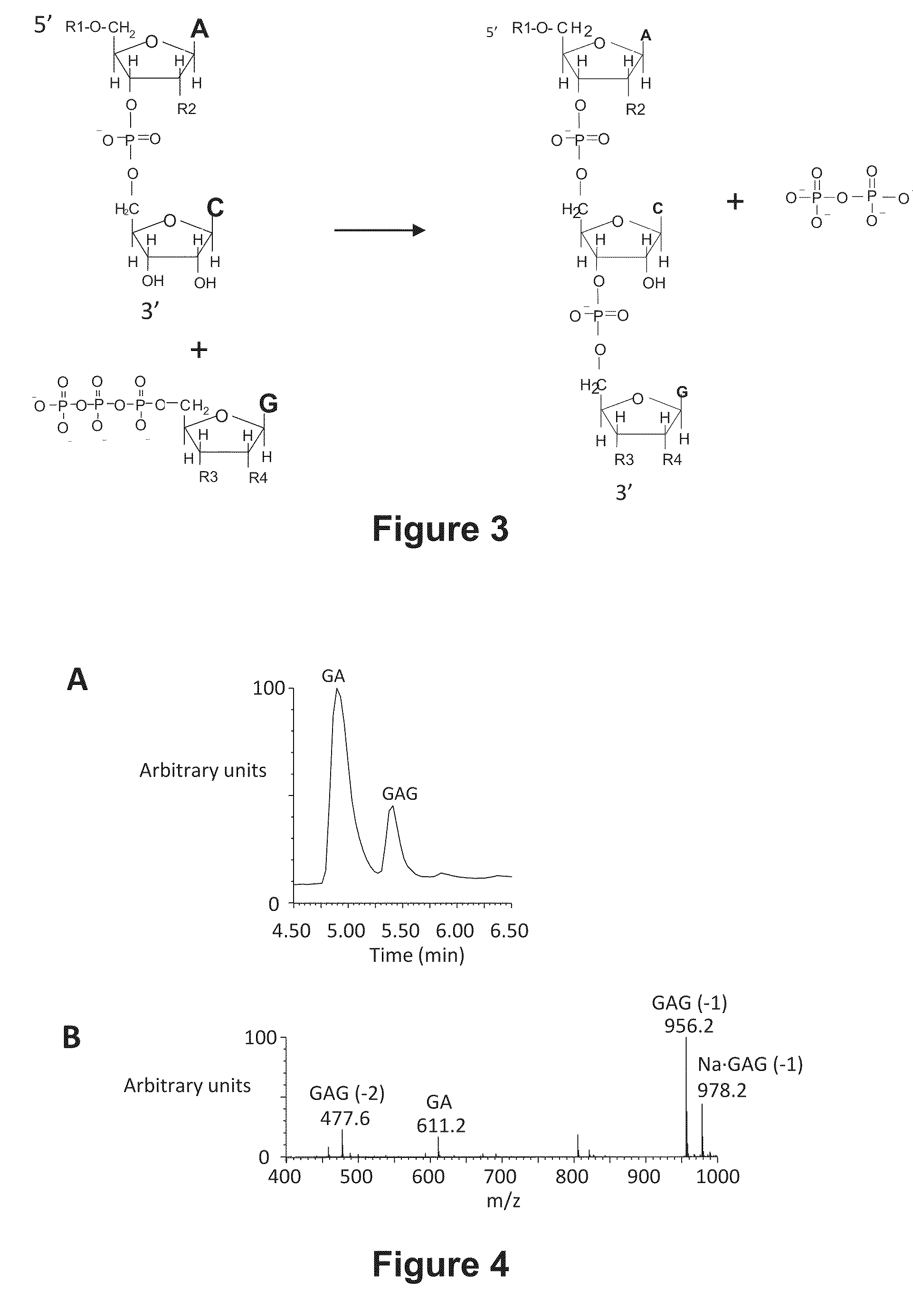 Abscription based molecular detection