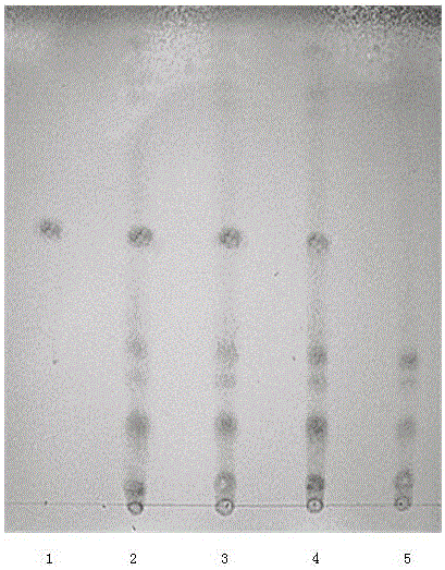 Naozhenning thin layer chromatography identification method