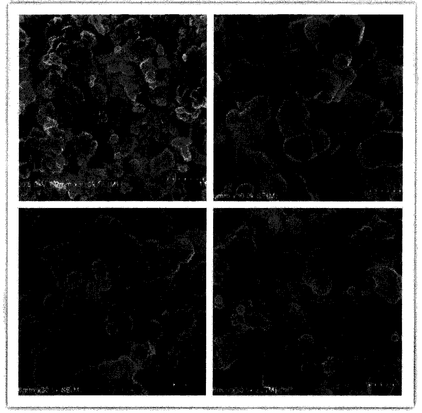 Cation-doped and modified lithium ion battery (4:4:2)type ternary cathode material and preparation method thereof