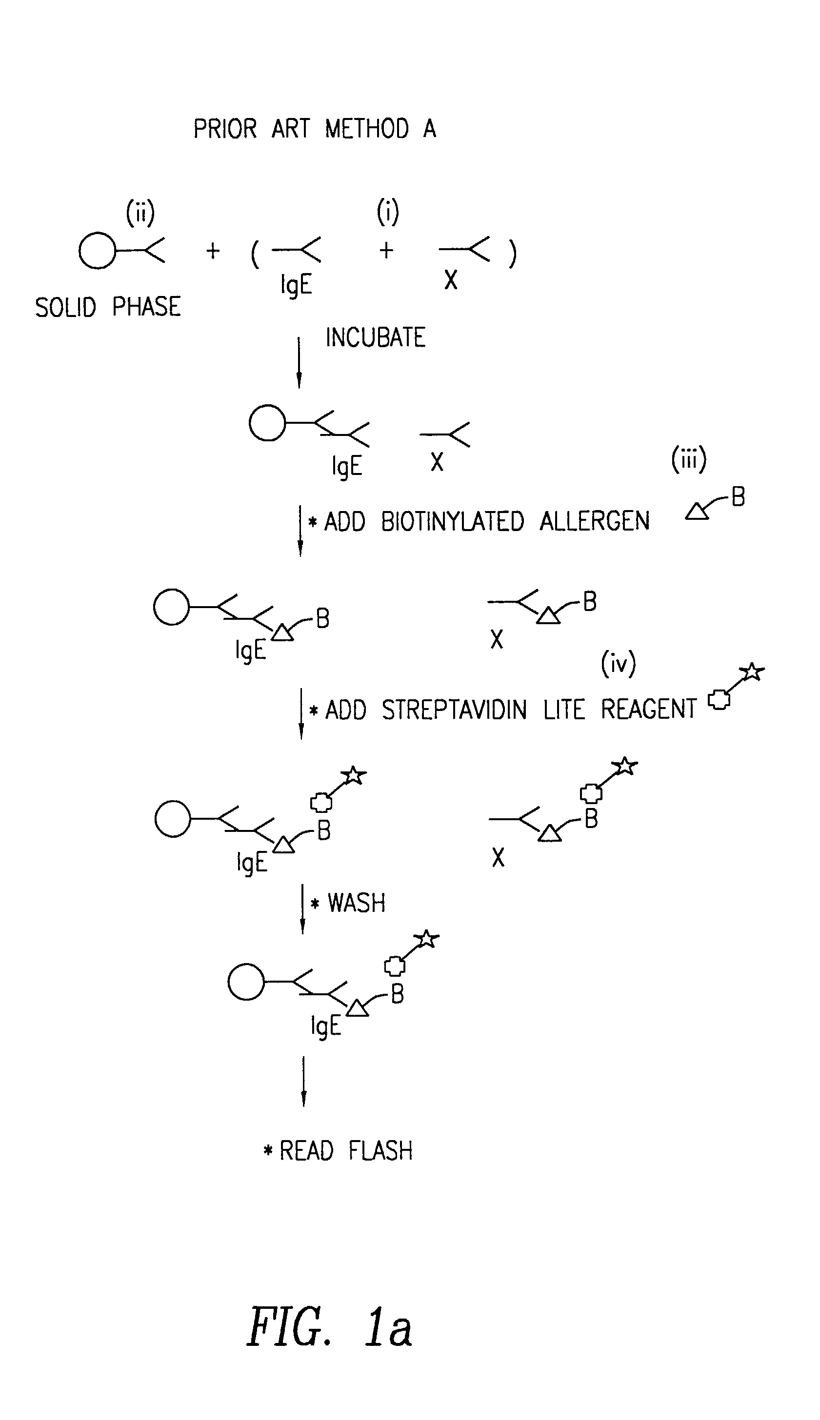 Method of detecting an antibody in a liquid sample