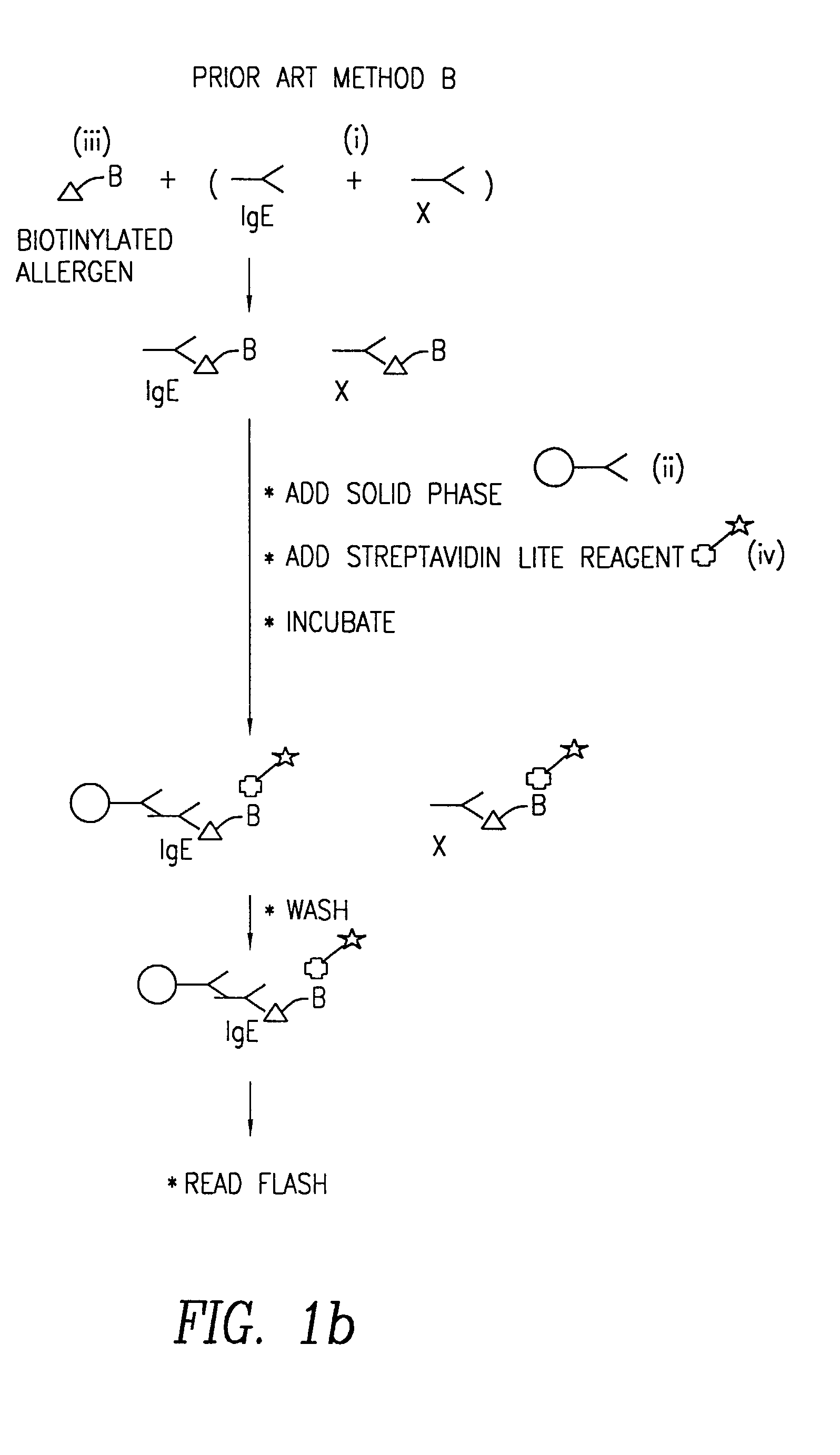 Method of detecting an antibody in a liquid sample