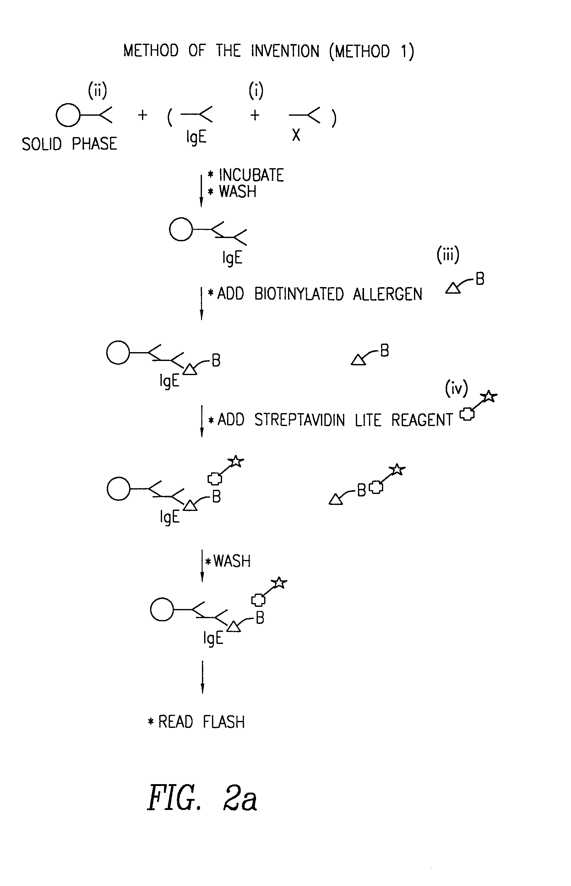 Method of detecting an antibody in a liquid sample