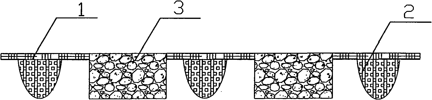 Water-plant-temperature coupled vegetation network