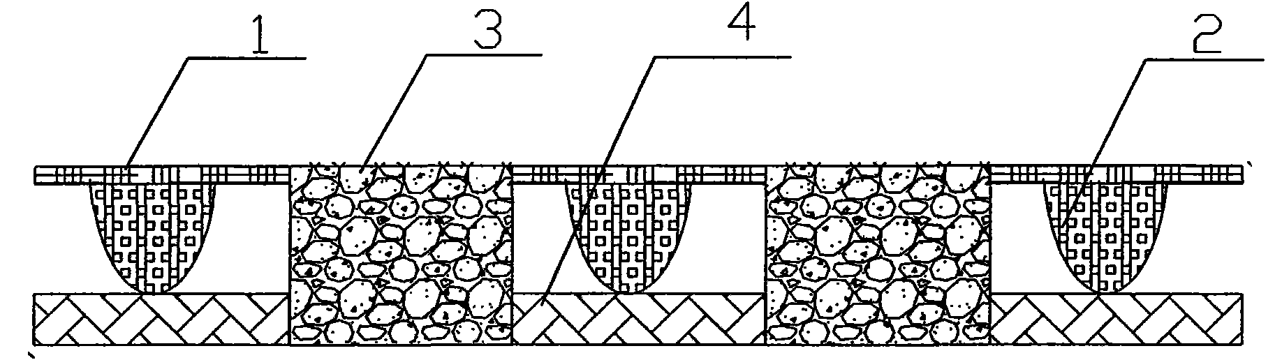 Water-plant-temperature coupled vegetation network