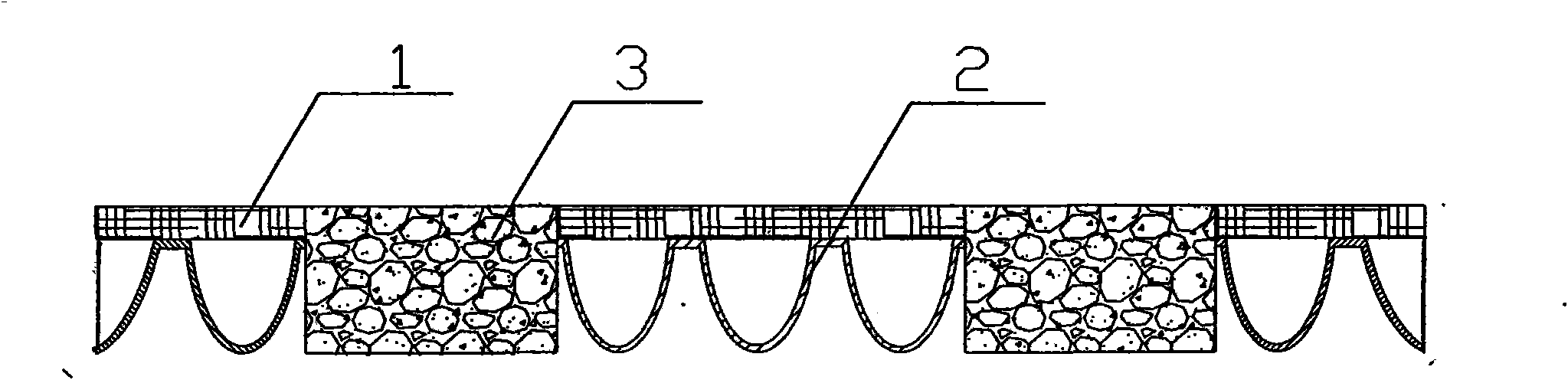 Water-plant-temperature coupled vegetation network