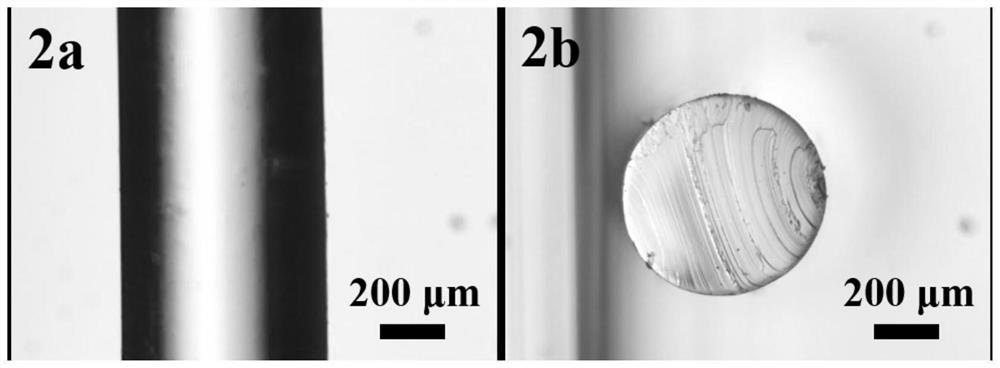 Continuous batch preparation method of silicone rubber microfibers and microtubes