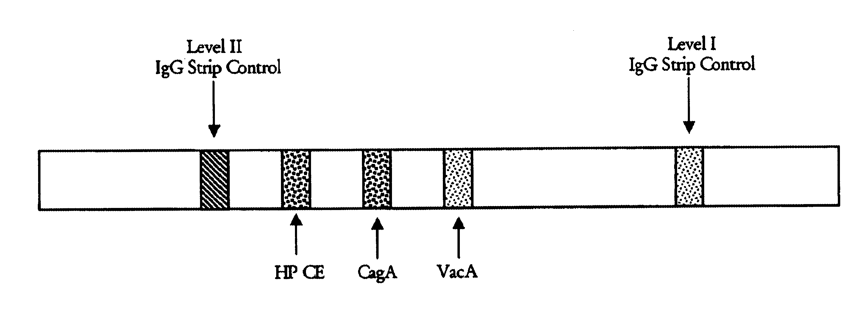 Helicobacter pylori diagnostics