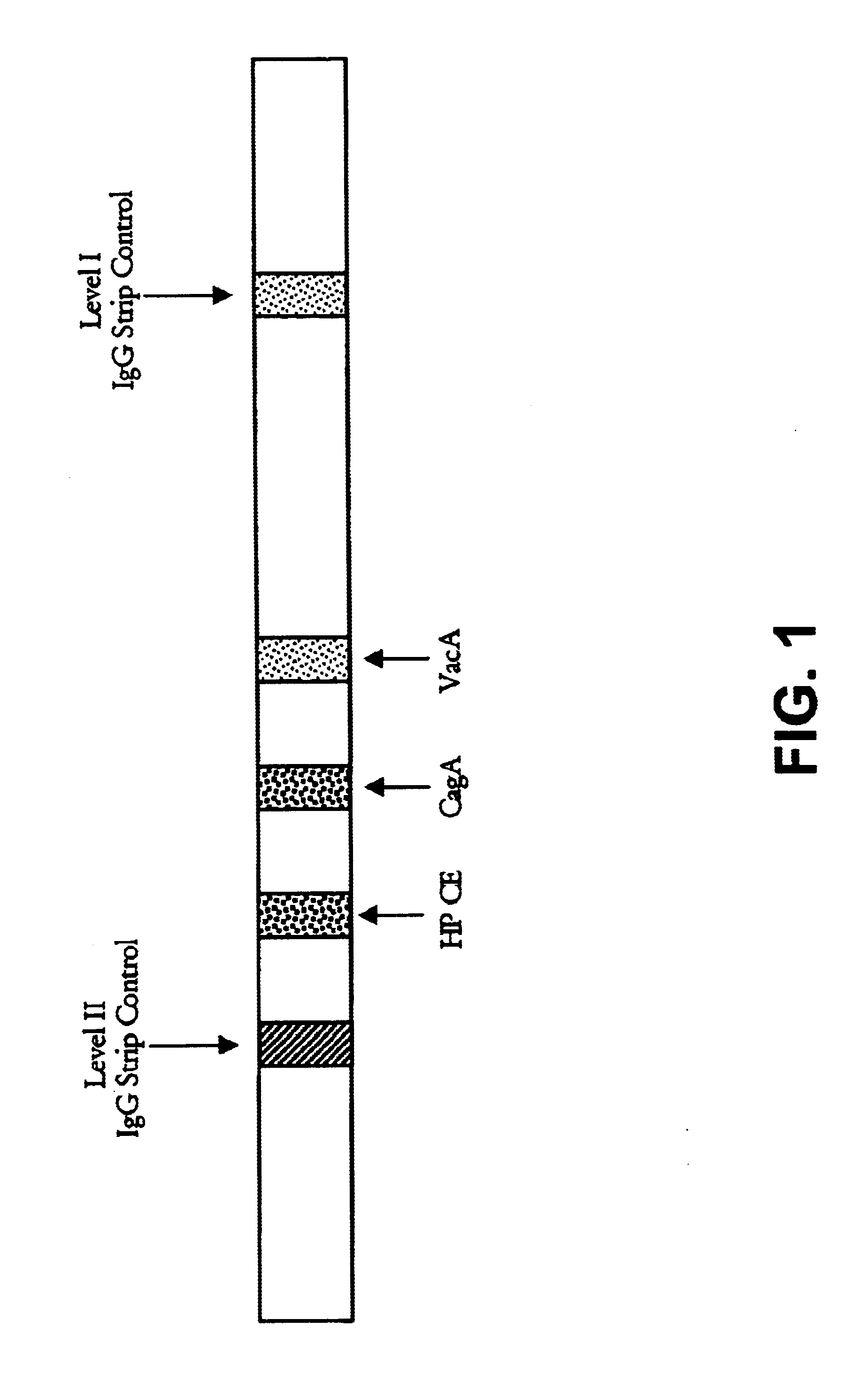 Helicobacter pylori diagnostics