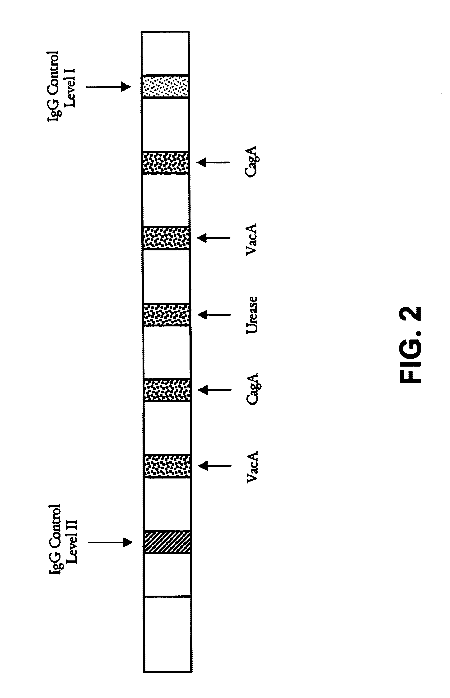 Helicobacter pylori diagnostics