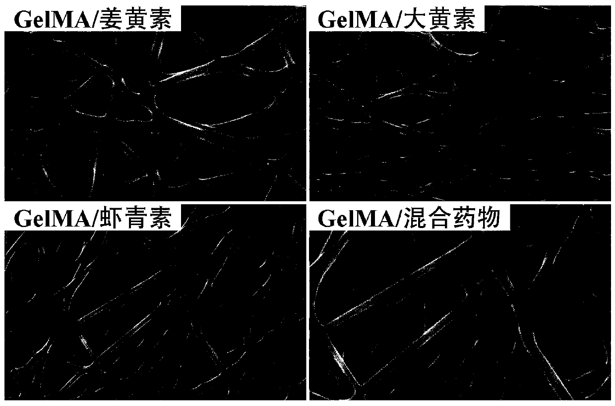 Preparation of insoluble drug sustained-release film