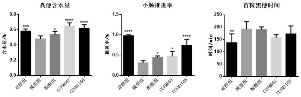 A Bifidobacterium bifidum that relieves constipation and regulates intestinal flora disturbance and its application