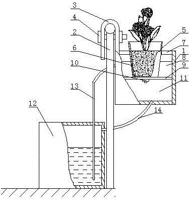 Automatic irrigating type ecological plant cultivation device