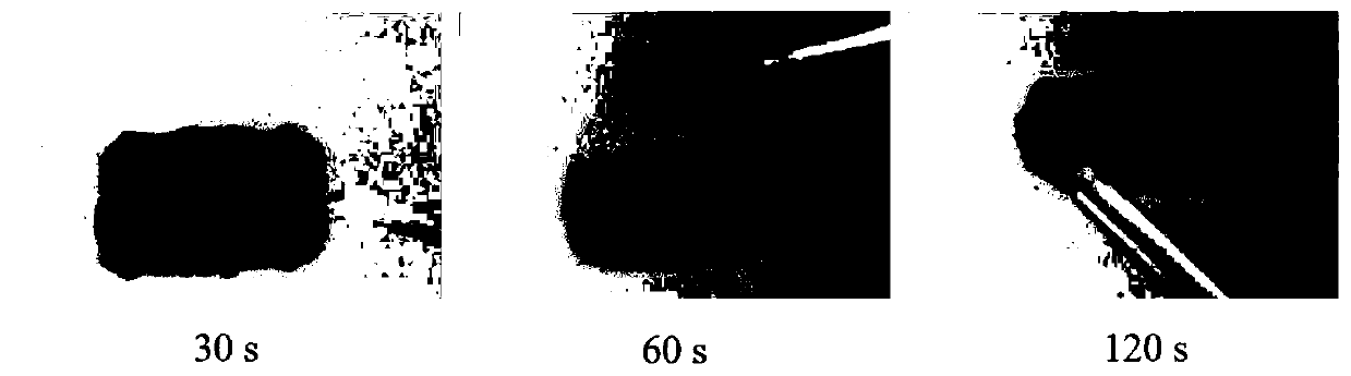 Microwave method for large-scale and rapid improvement of hydrophilicity of carbon base and application thereof