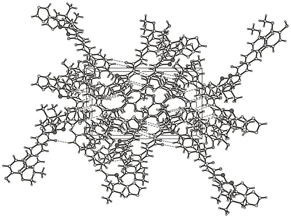 Feruloyl amide derivative as well as medical application and crystal structure thereof