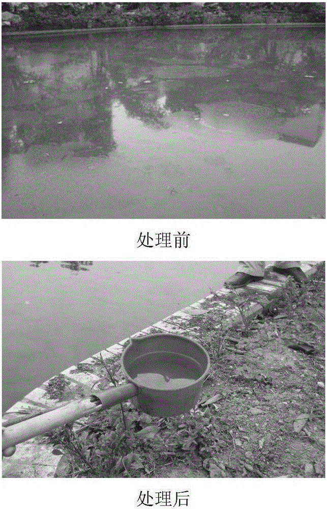 Compound microbial preparation used for water body and sediment remediation and preparation method thereof