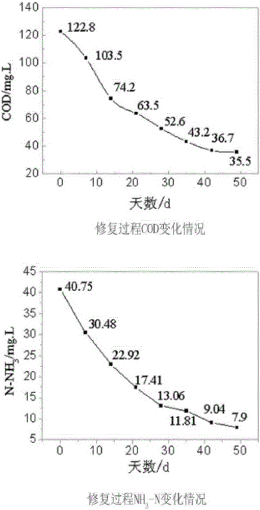 Compound microbial preparation used for water body and sediment remediation and preparation method thereof