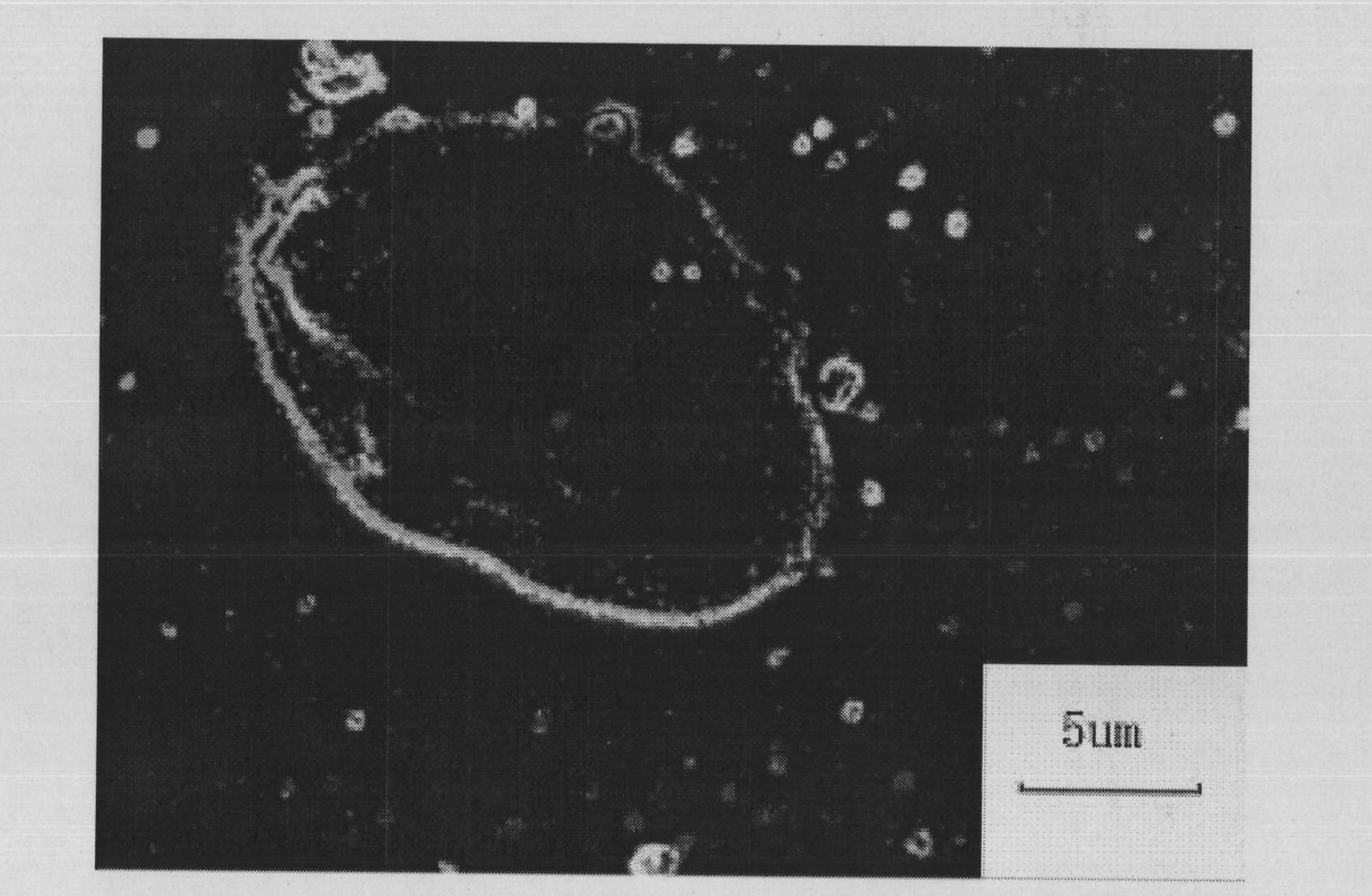 Optical detection method for microcosmic defect expansion of film surfaces and implementing device