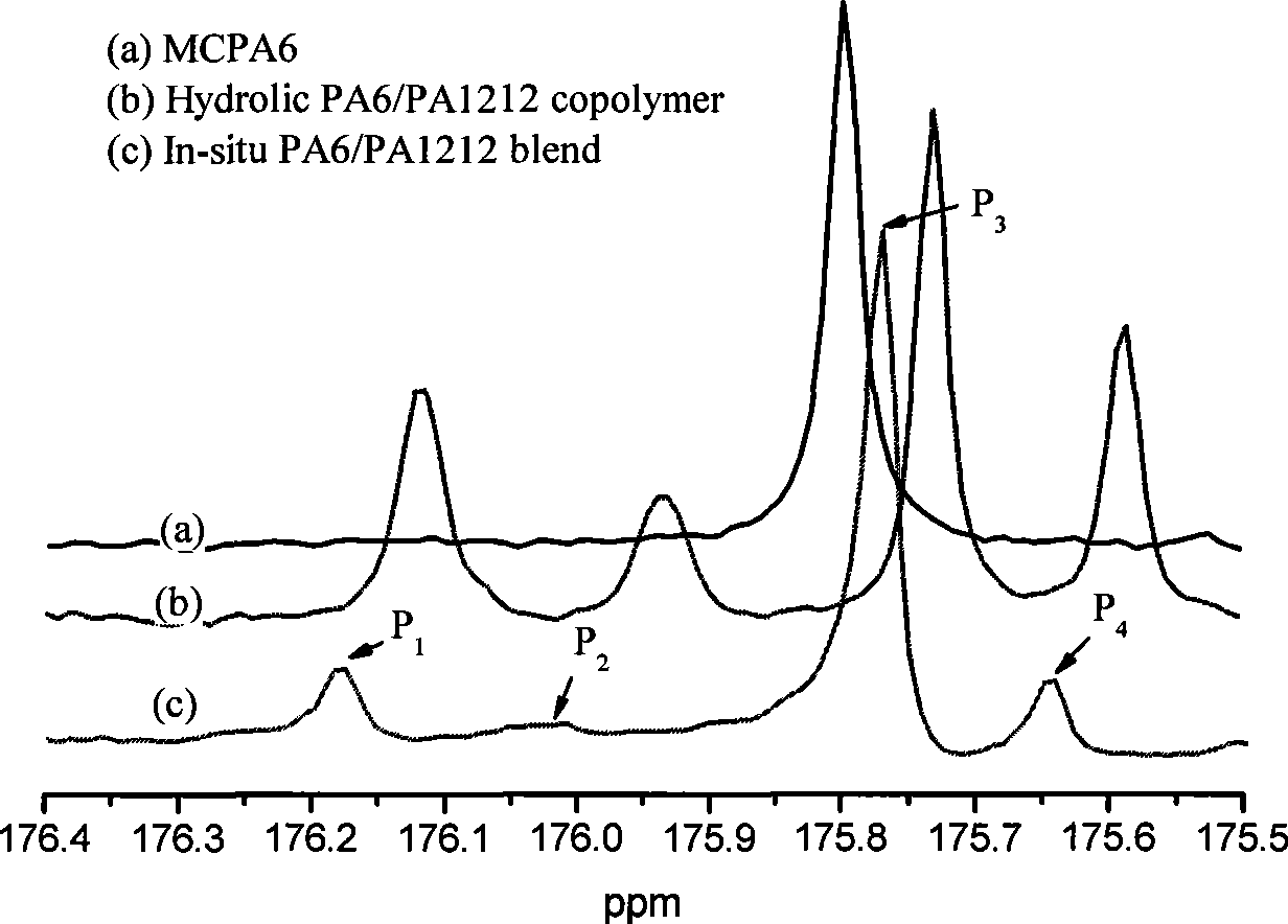 Copolymerization nylon composition and preparation thereof