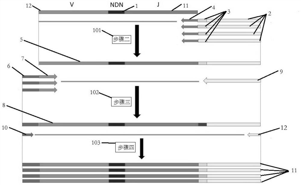 Sequencing method for constructing variable region sequence library kit and variable region sequence