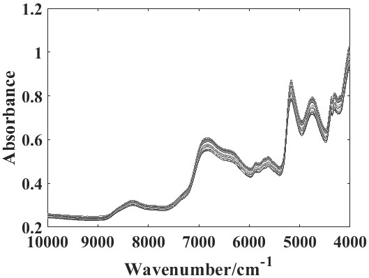 Lotus root starch adulteration identification method based on machine learning