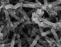 Preparation method of spiral titanium dioxide (TiO2) nano wire doped with silver/silver chloride (Ag/AgCl)