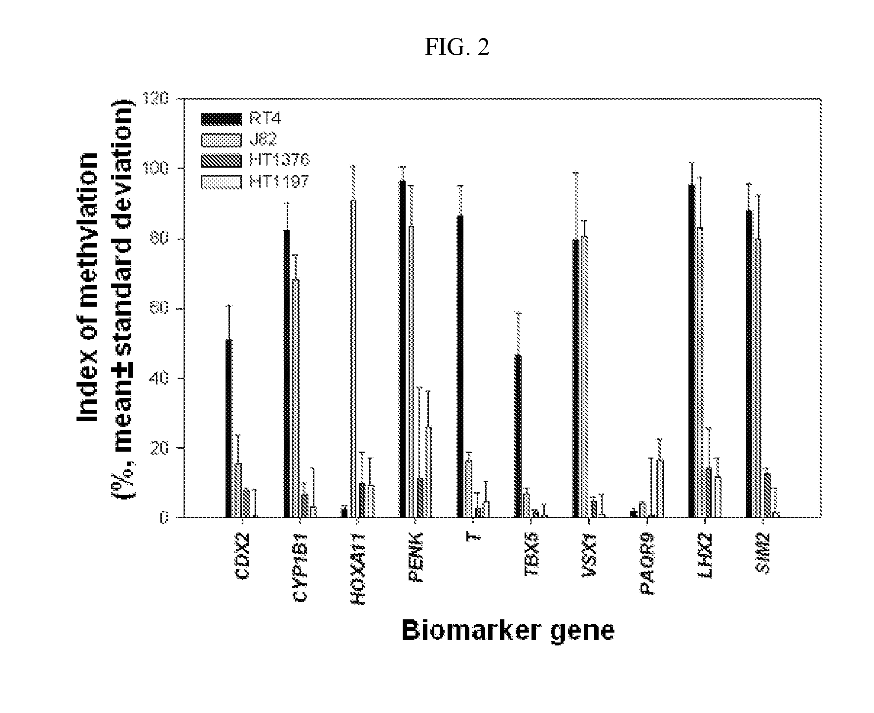 Diagnosis kit and chip for bladder cancer using bladder cancer specific methylation marker gene