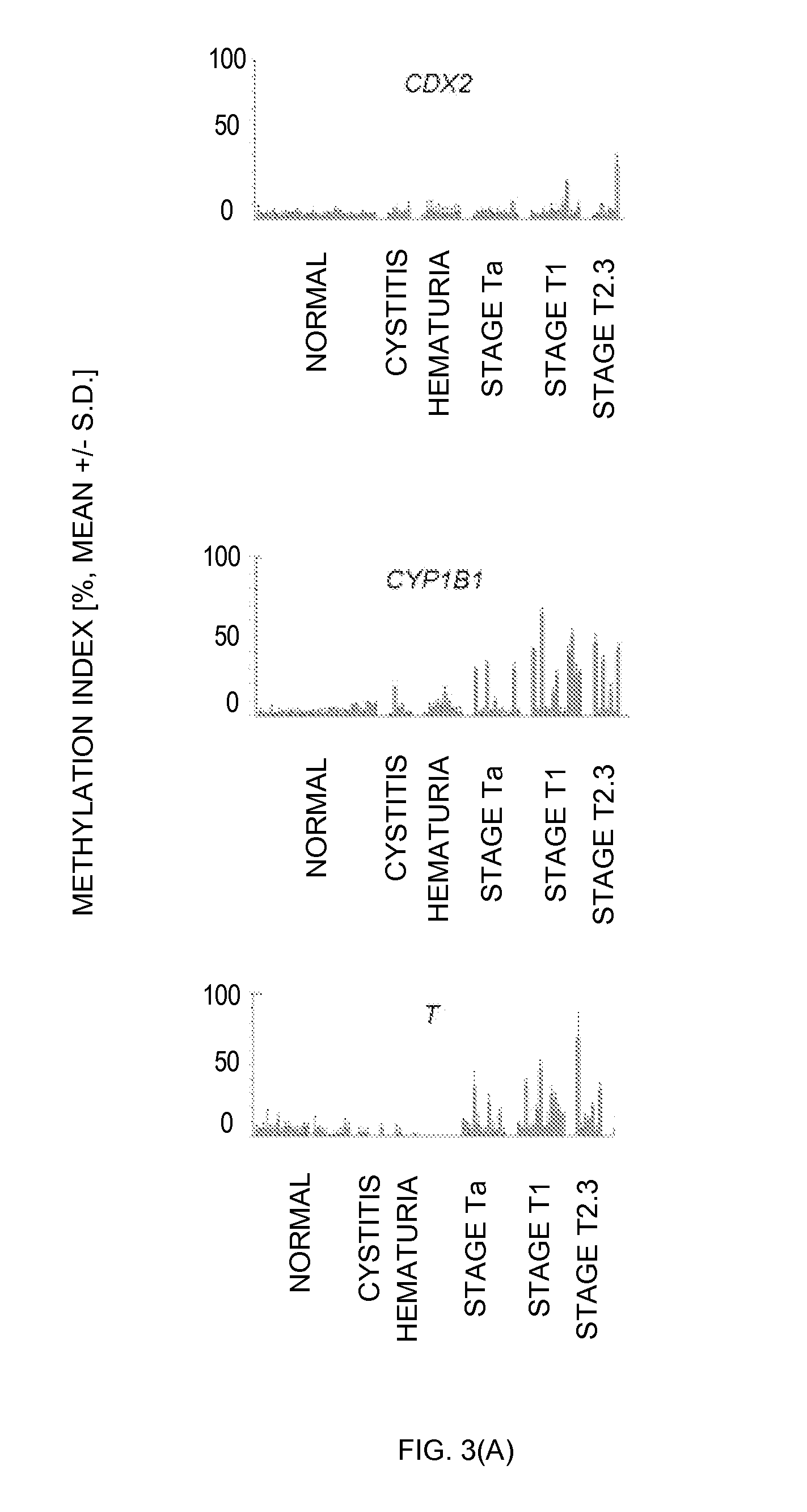 Diagnosis kit and chip for bladder cancer using bladder cancer specific methylation marker gene