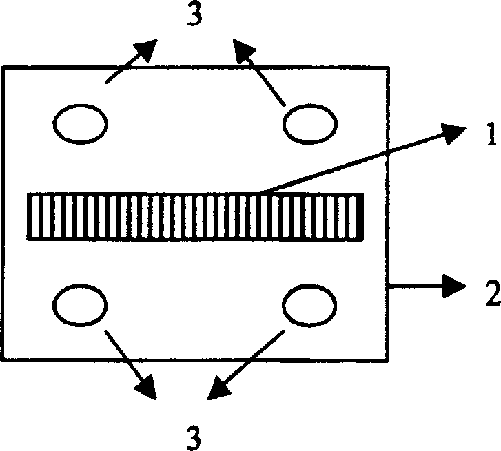 Balance pressure detector of supersonic elastic imaging