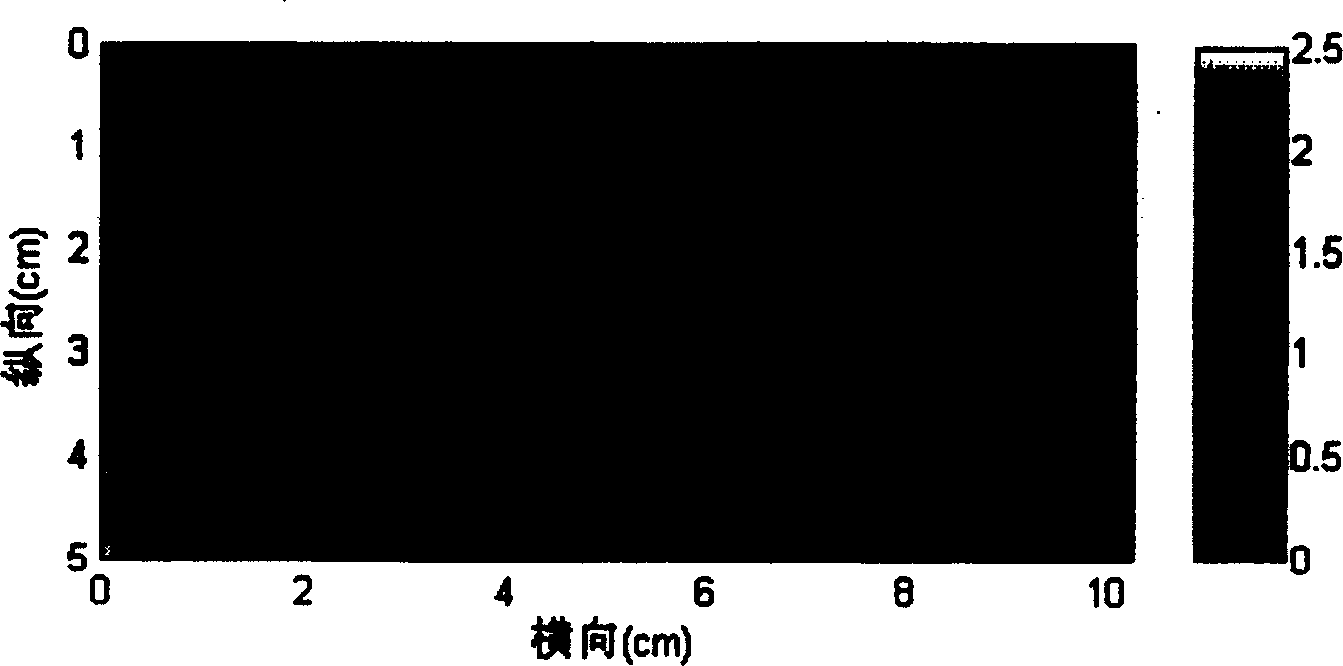 Balance pressure detector of supersonic elastic imaging