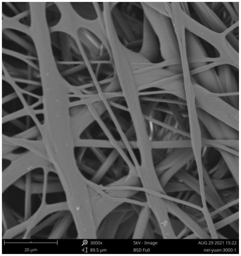 Metal ion coordination capture adsorption enhanced mask main body material, preparation method thereof and mask