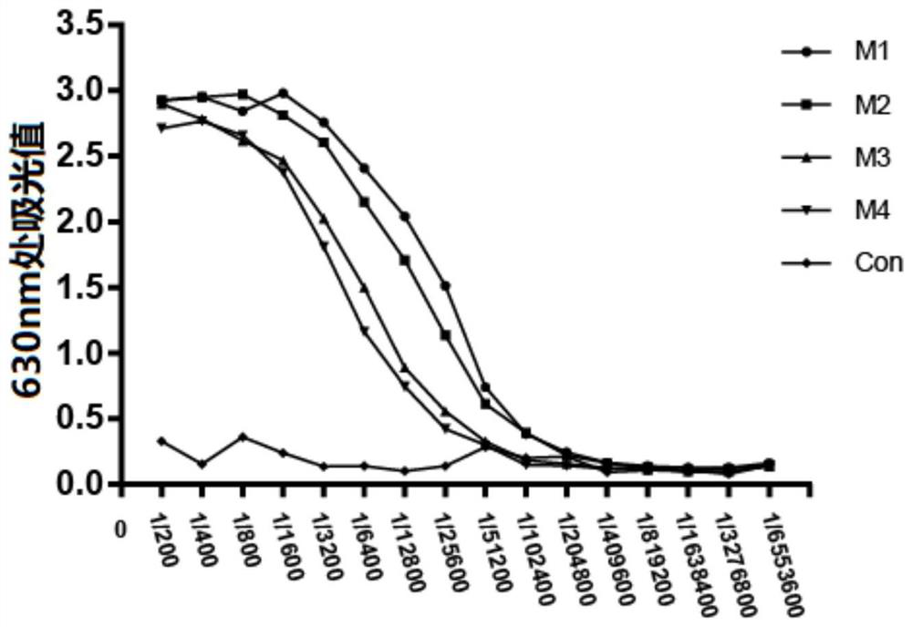 Application of haemophilus parasuis CdtB hybridoma cell and monoclonal antibody