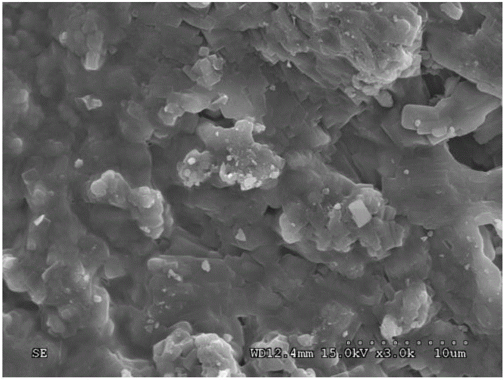 Double-metal integral type plasma catalyst as well as preparation method and application of double-metal integral type plasma catalyst