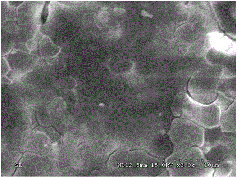 Double-metal integral type plasma catalyst as well as preparation method and application of double-metal integral type plasma catalyst