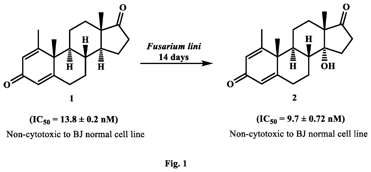 Synthesis of New Potent Aromatase Inhibitors Through Biocatalysis of Anti-Cancer Drugs, Atamestane, Drostanolone Enanthate, and Exemestane