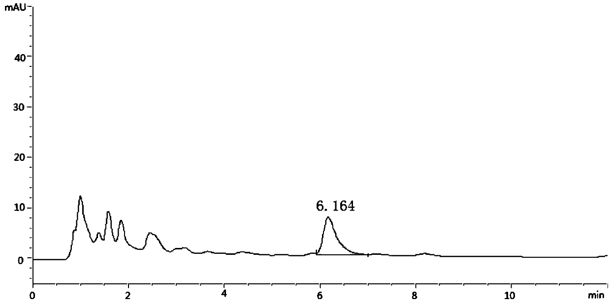 Herba taxilli tea granule composition and preparation method thereof