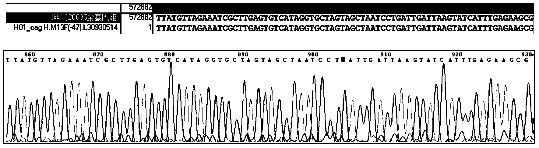 Gastric juice multiple real-time polymerase chain reaction (PCR) detection-based helicobacter pylori (HP) individualized treatment auxiliary diagnosis method