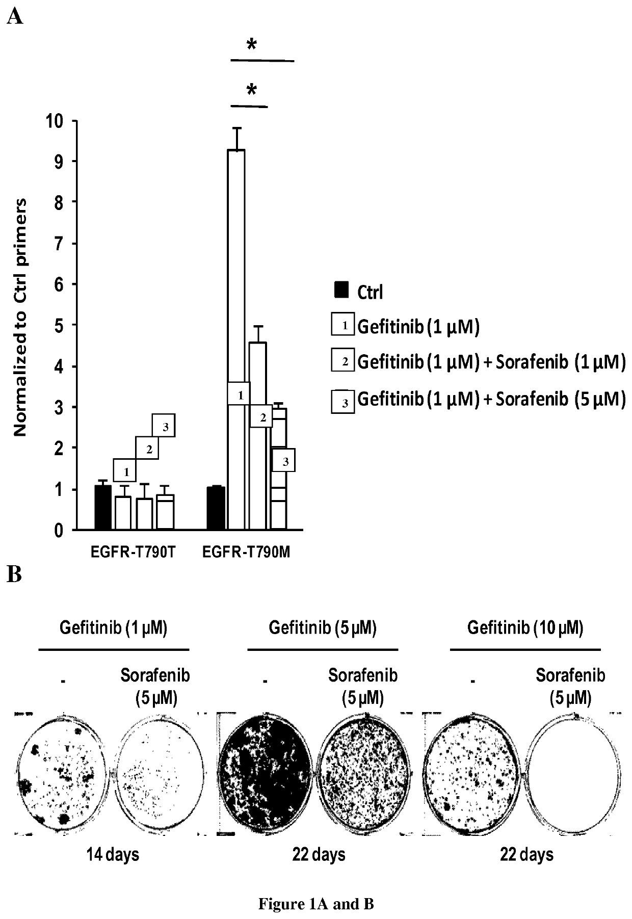 Methods for preventing or treating cancer resistance to EGFR inhibition