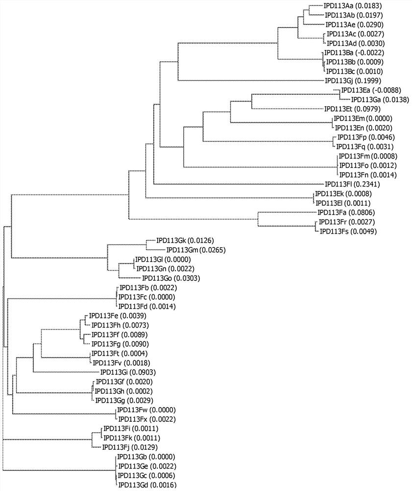 Insecticidal proteins from plants and methods for their use