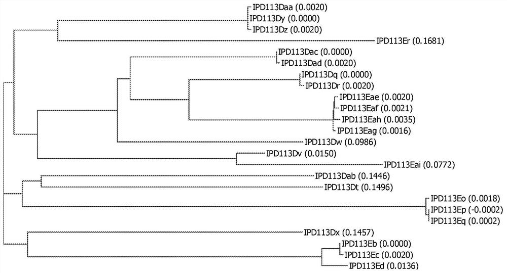 Insecticidal proteins from plants and methods for their use