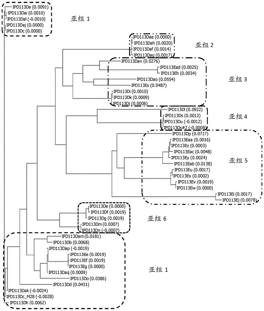 Insecticidal proteins from plants and methods for their use