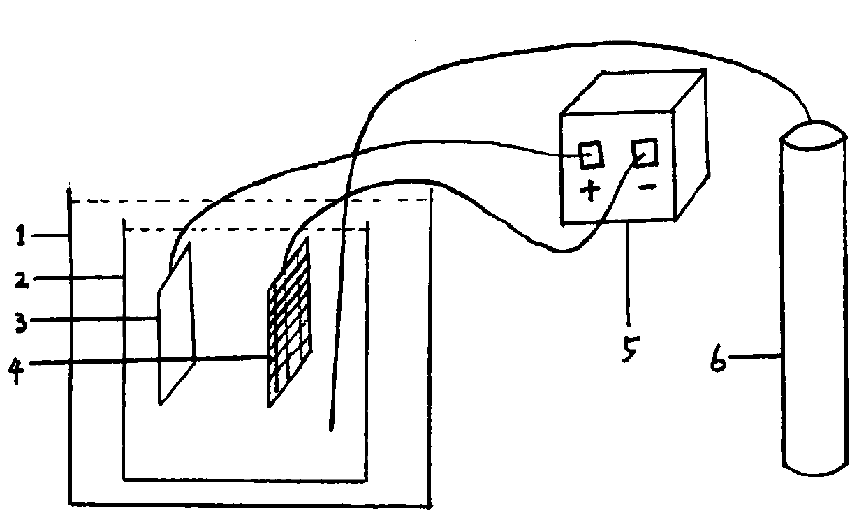 Method for representing distribution of non-metallic inclusions in large-scale steel ingot by electrolytic method