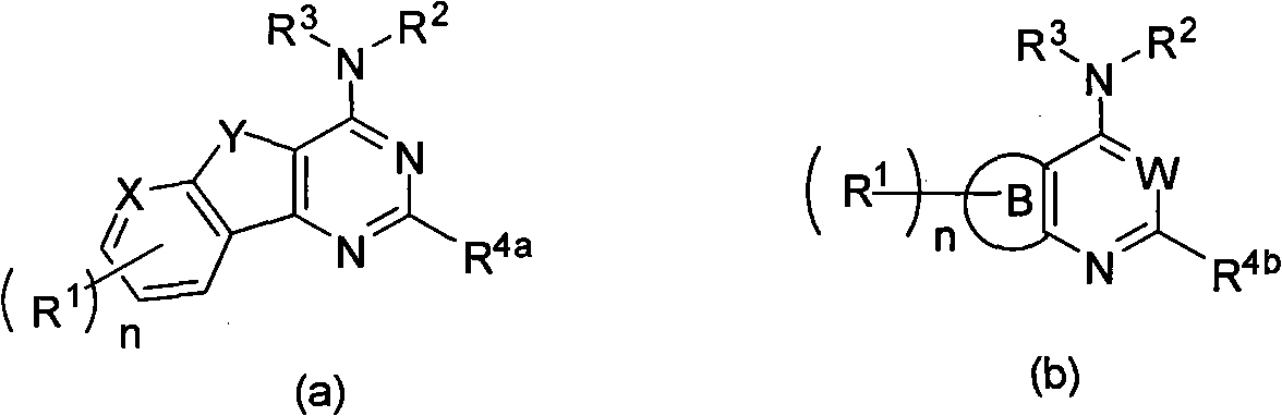 Condensed heteroaryl derivative, and preparation method and application thereof