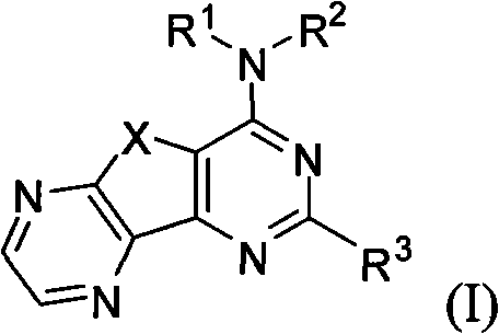 Condensed heteroaryl derivative, and preparation method and application thereof